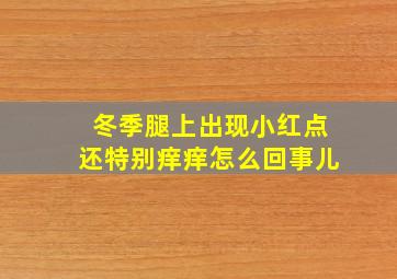 冬季腿上出现小红点还特别痒痒怎么回事儿