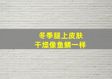 冬季腿上皮肤干燥像鱼鳞一样