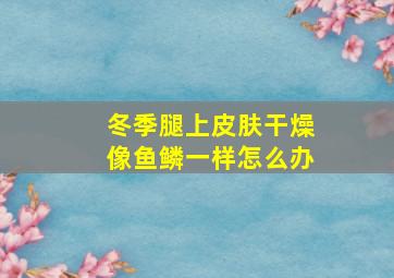 冬季腿上皮肤干燥像鱼鳞一样怎么办