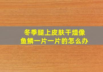 冬季腿上皮肤干燥像鱼鳞一片一片的怎么办