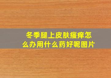 冬季腿上皮肤瘙痒怎么办用什么药好呢图片