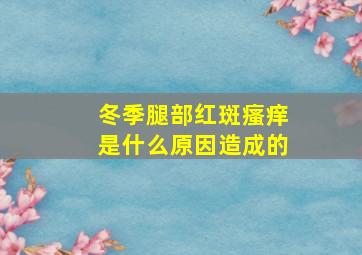 冬季腿部红斑瘙痒是什么原因造成的