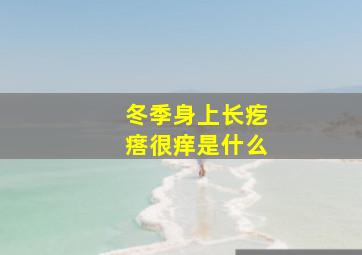 冬季身上长疙瘩很痒是什么