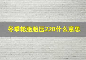 冬季轮胎胎压220什么意思