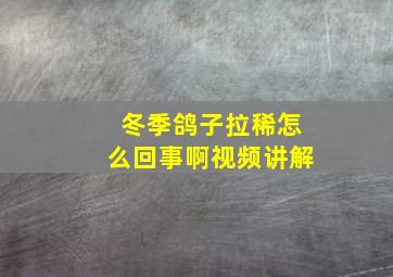 冬季鸽子拉稀怎么回事啊视频讲解