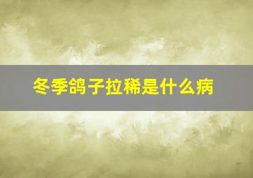 冬季鸽子拉稀是什么病