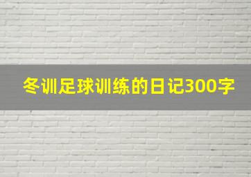 冬训足球训练的日记300字