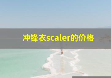 冲锋衣scaler的价格