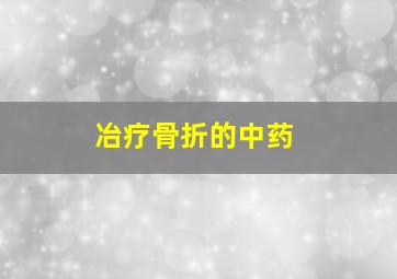 冶疗骨折的中药