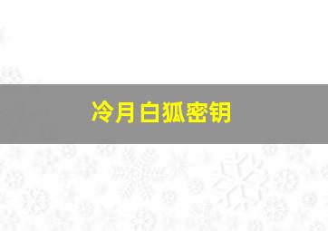 冷月白狐密钥