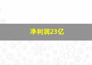 净利润23亿