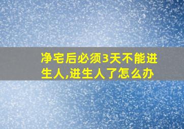 净宅后必须3天不能进生人,进生人了怎么办