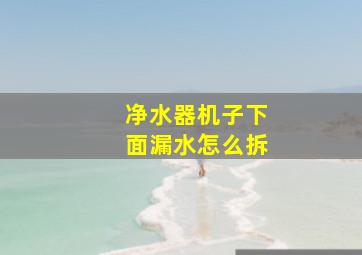 净水器机子下面漏水怎么拆