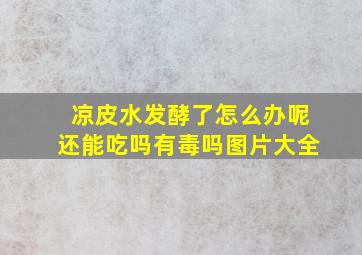 凉皮水发酵了怎么办呢还能吃吗有毒吗图片大全