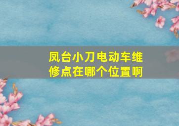 凤台小刀电动车维修点在哪个位置啊