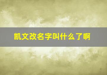 凯文改名字叫什么了啊