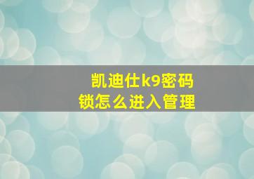 凯迪仕k9密码锁怎么进入管理