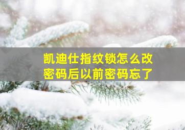 凯迪仕指纹锁怎么改密码后以前密码忘了