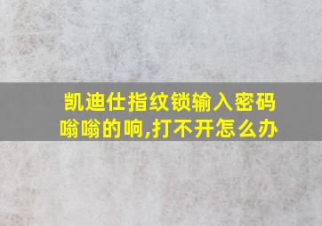 凯迪仕指纹锁输入密码嗡嗡的响,打不开怎么办