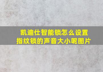 凯迪仕智能锁怎么设置指纹锁的声音大小呢图片