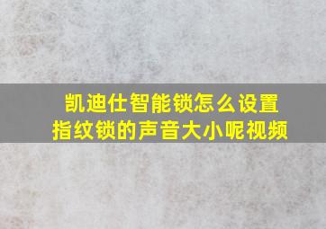 凯迪仕智能锁怎么设置指纹锁的声音大小呢视频