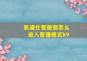 凯迪仕智能锁怎么进入管理模式k9