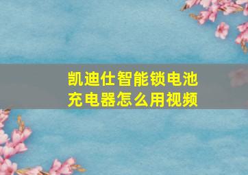 凯迪仕智能锁电池充电器怎么用视频