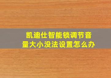 凯迪仕智能锁调节音量大小没法设置怎么办