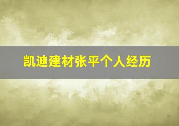 凯迪建材张平个人经历