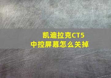 凯迪拉克CT5中控屏幕怎么关掉