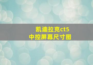 凯迪拉克ct5中控屏幕尺寸图