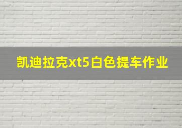 凯迪拉克xt5白色提车作业