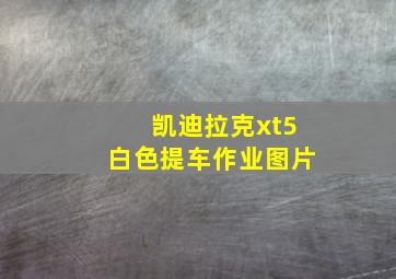 凯迪拉克xt5白色提车作业图片