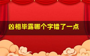 凶相毕露哪个字错了一点