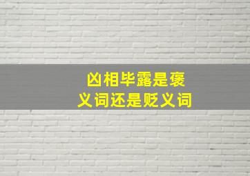 凶相毕露是褒义词还是贬义词