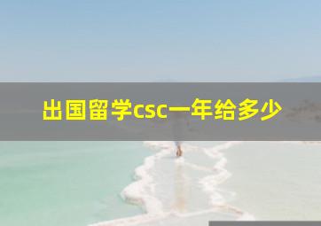 出国留学csc一年给多少