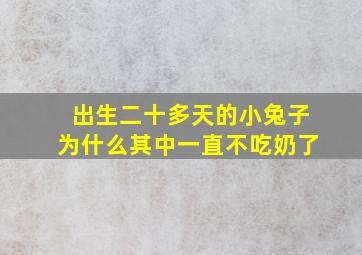 出生二十多天的小兔子为什么其中一直不吃奶了