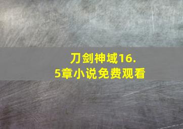 刀剑神域16.5章小说免费观看