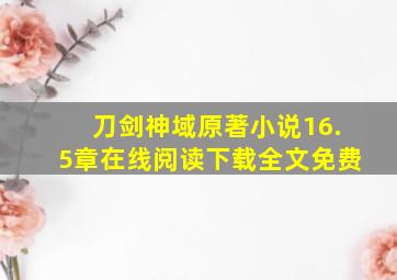 刀剑神域原著小说16.5章在线阅读下载全文免费