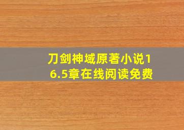 刀剑神域原著小说16.5章在线阅读免费