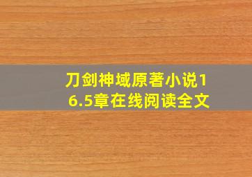 刀剑神域原著小说16.5章在线阅读全文