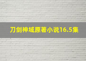 刀剑神域原著小说16.5集