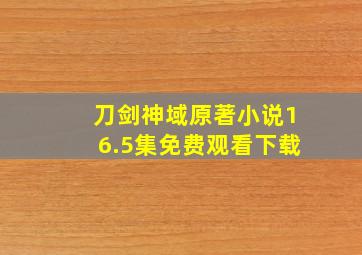 刀剑神域原著小说16.5集免费观看下载