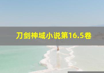 刀剑神域小说第16.5卷