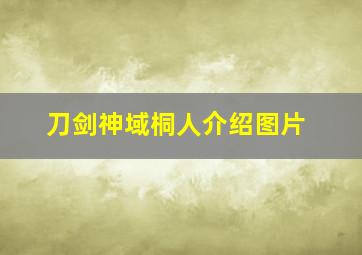 刀剑神域桐人介绍图片