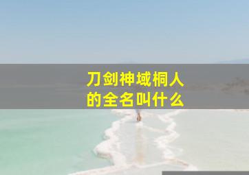 刀剑神域桐人的全名叫什么