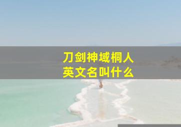 刀剑神域桐人英文名叫什么