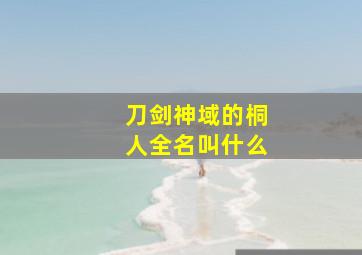 刀剑神域的桐人全名叫什么