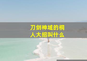 刀剑神域的桐人大招叫什么