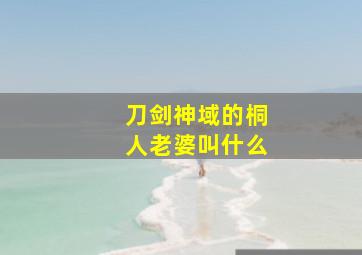 刀剑神域的桐人老婆叫什么